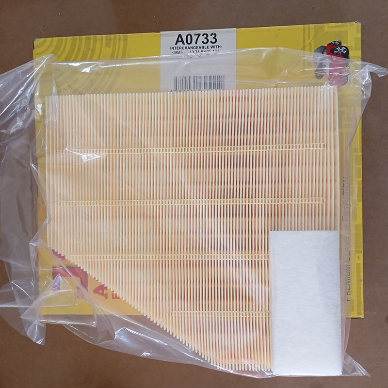 A0733 (4)
